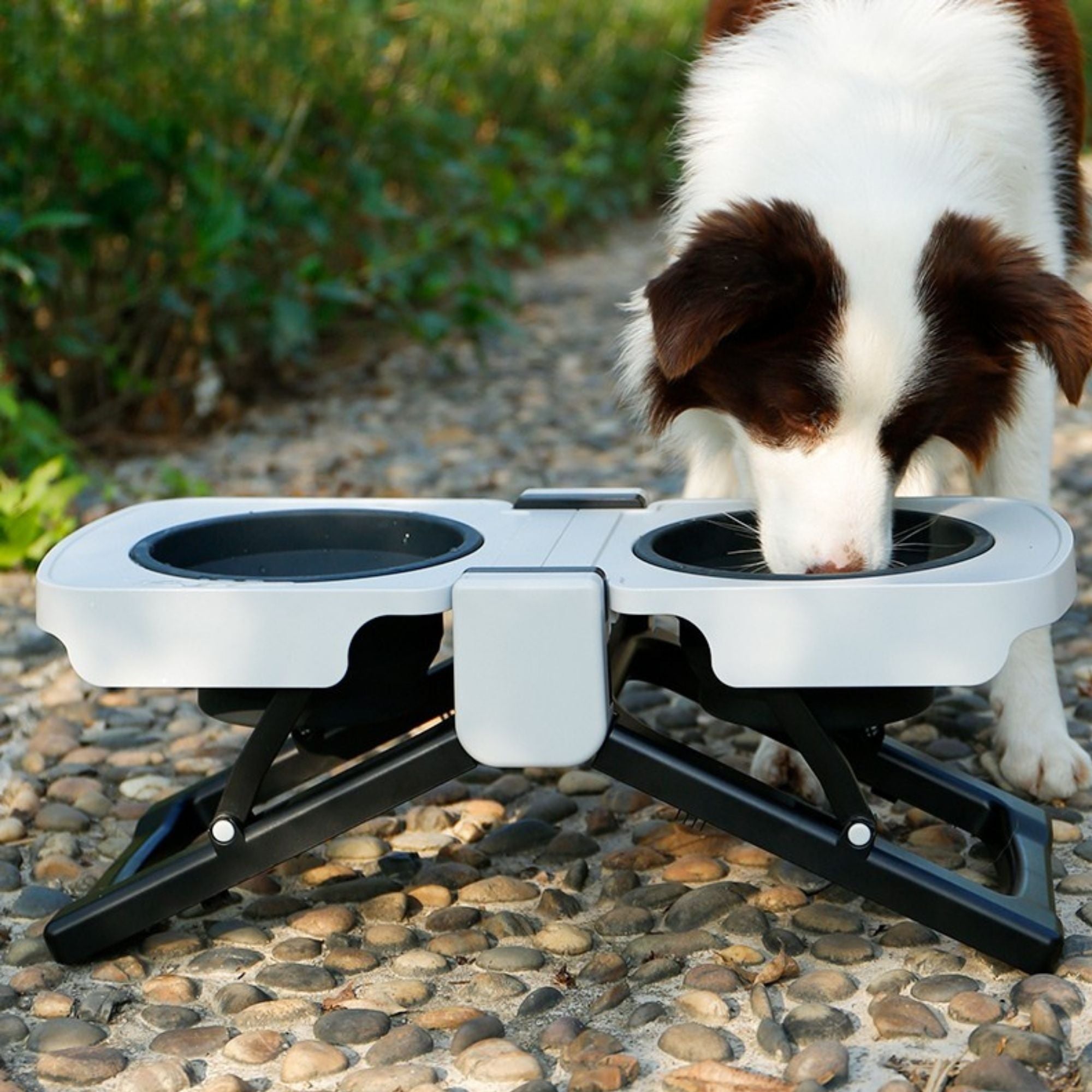 Superdesign portable elevated double dog bowl stand by CastleUp Experience Centre, two raised pet bowls