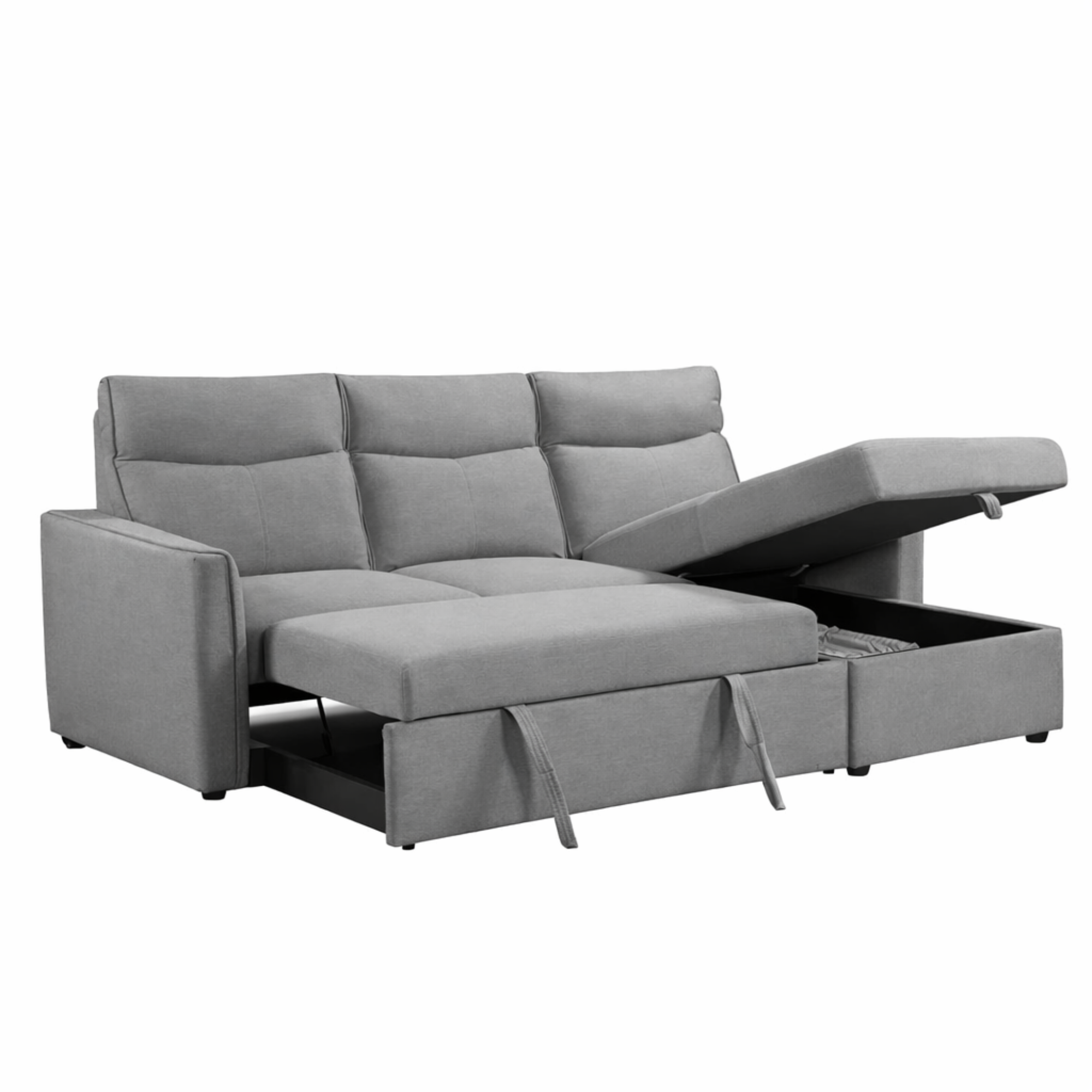 Carter Reversible Sleeper Sectional with Storage Chaise