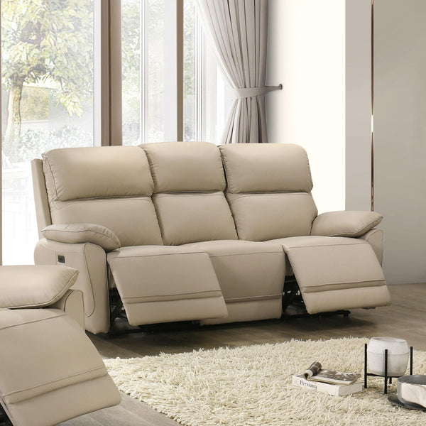 Reclining Sofa