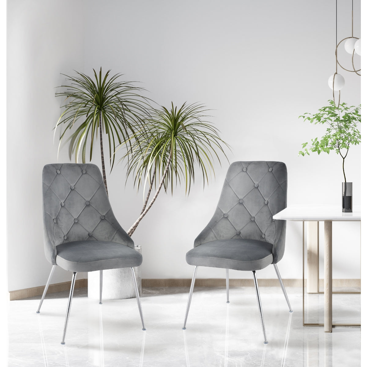 Set of two MAZ Plumeria grey dining chairs with modern design, featuring cushioned seats and sleek, curved backs.