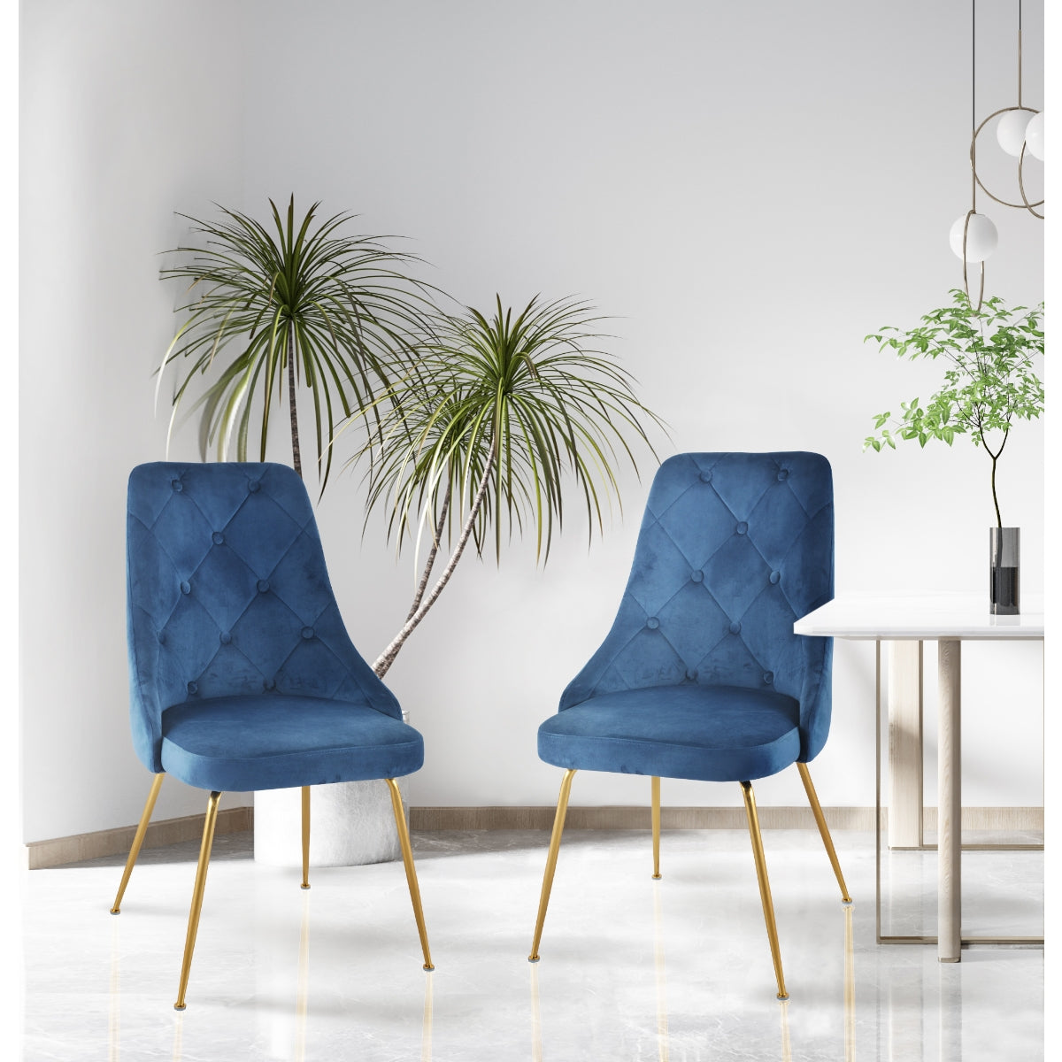 Set of two MAZ Plumeria blue dining chairs with sleek modern design, perfect for contemporary dining rooms.