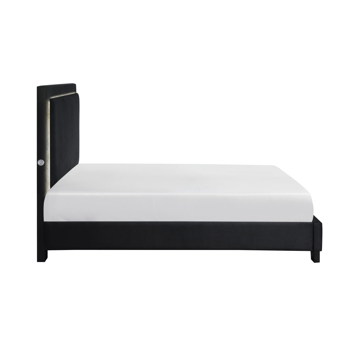 Lumina LED Upholstered Platform Bed Black | CastleUp Experience Centre Online Furniture