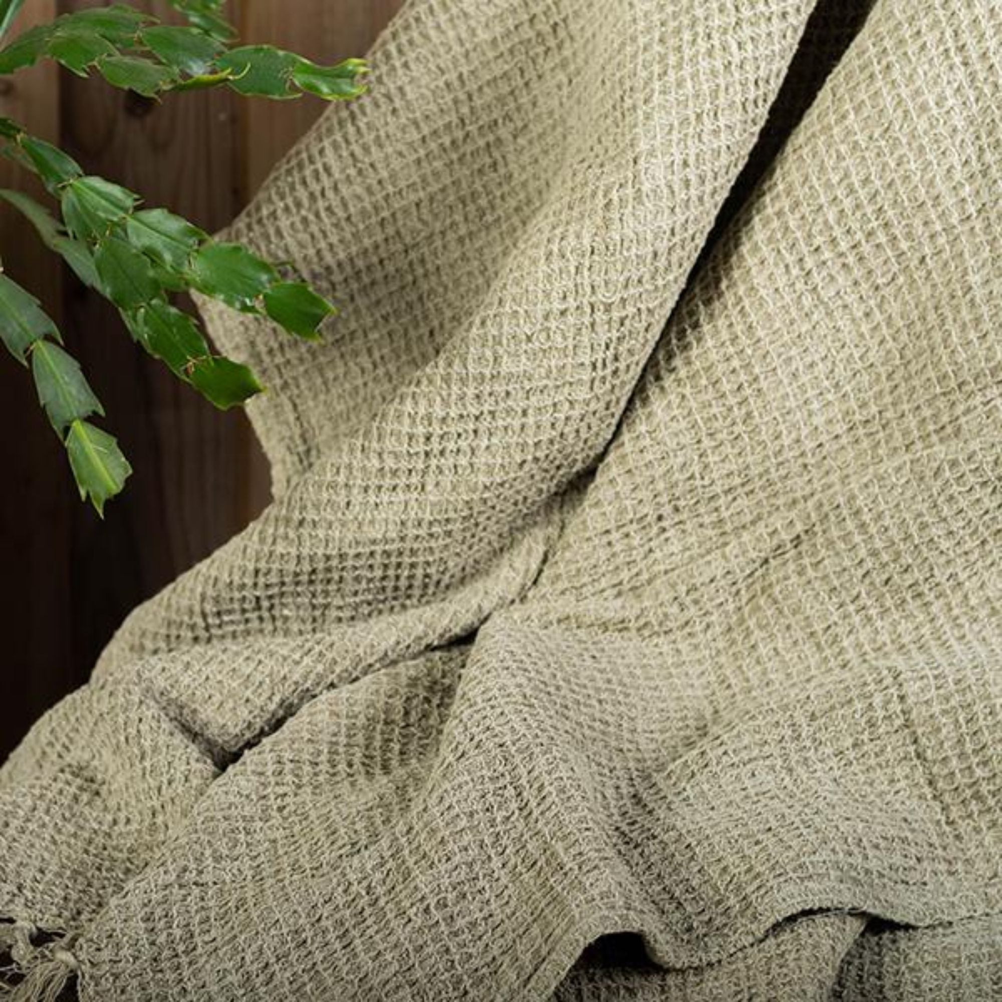 Cotton Waffle Weave Throw in Taupe | CastleUp Experience Centre Online Furniture