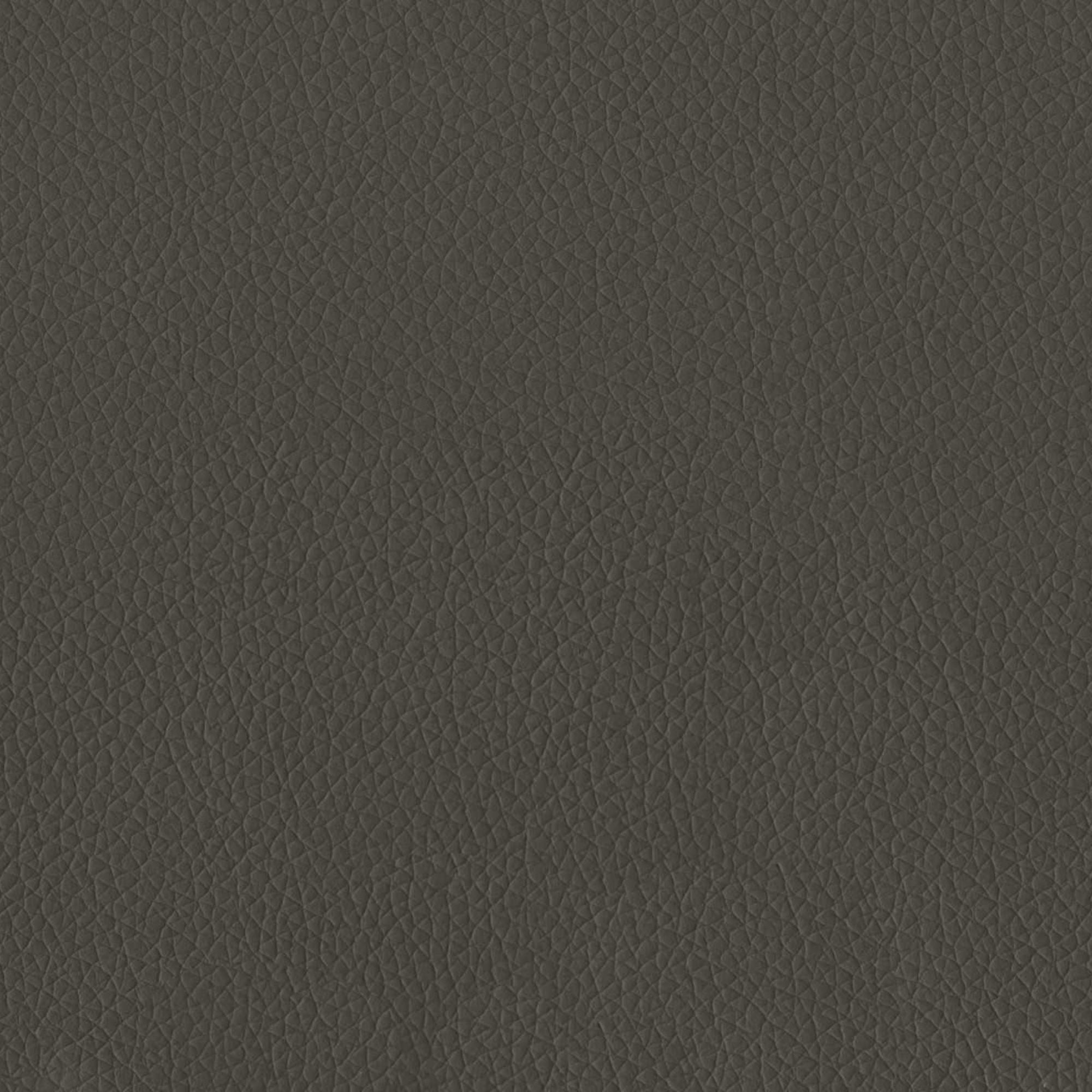 Everett 58 inch Loveseat Grey | CastleUp Experience Centre Online Furniture