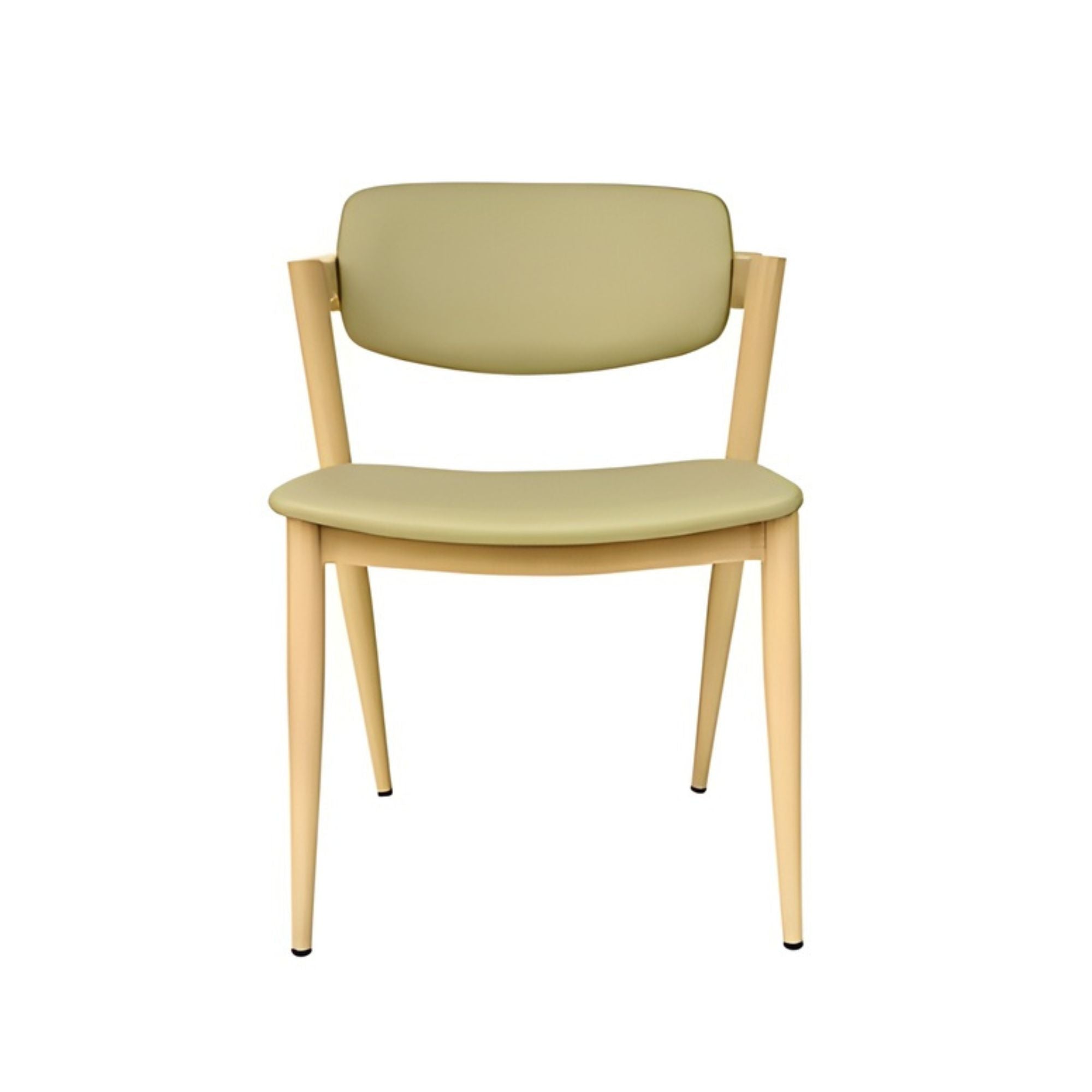 Brera Collection Metal Frame Dining Chair in Light Green (Set of 2)