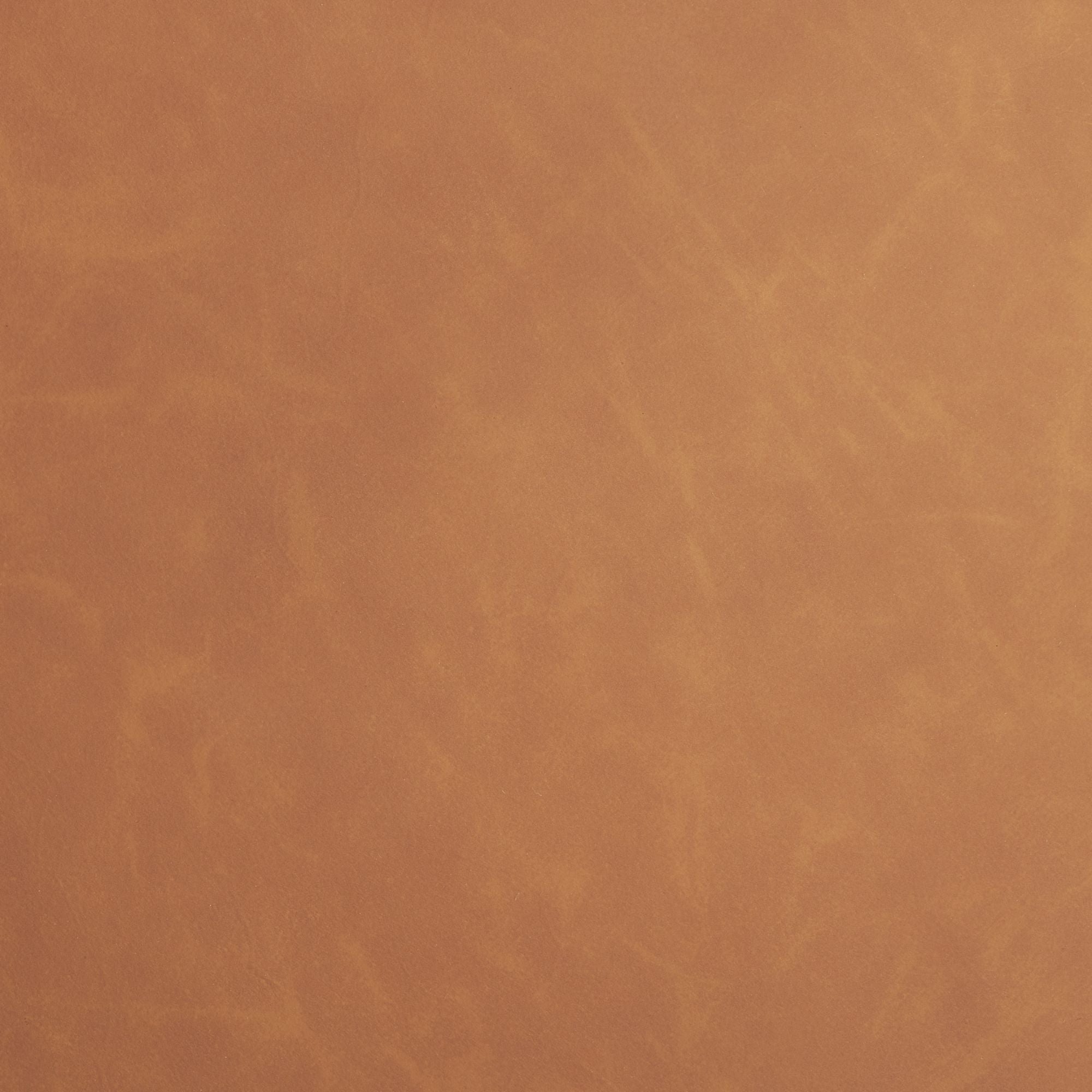 Mercana Carlisle Curved Back Leather Arm Dining Chair in Tan | CastleUp Experience Centre Online Furniture