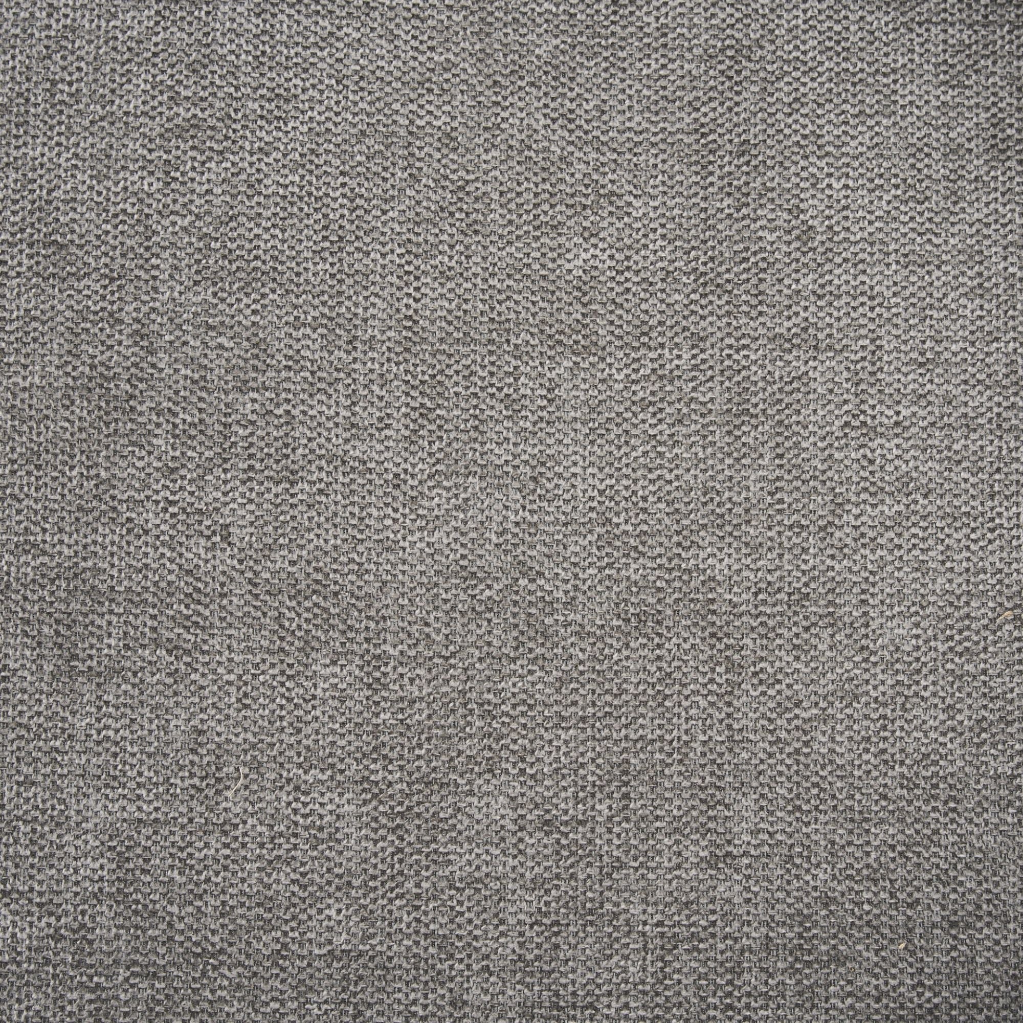 Mercana Carolyn Dining Chair in Grey | CastleUp Experience Centre Online Furniture