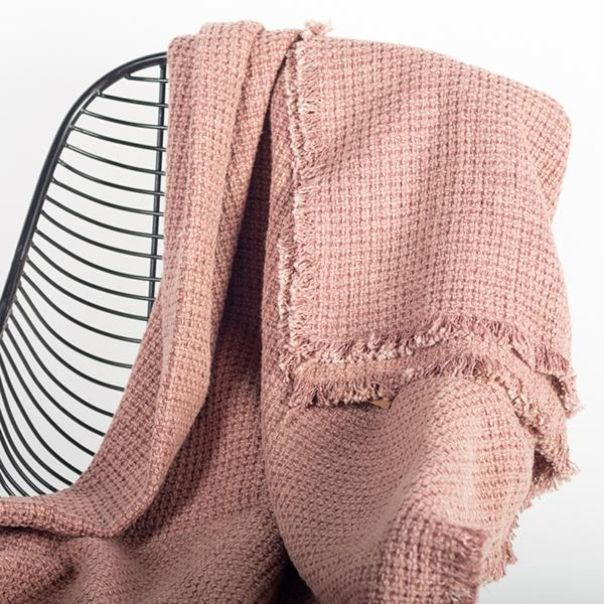 Cotton Throw With Fringe in Rose | CastleUp Experience Centre Online Furniture
