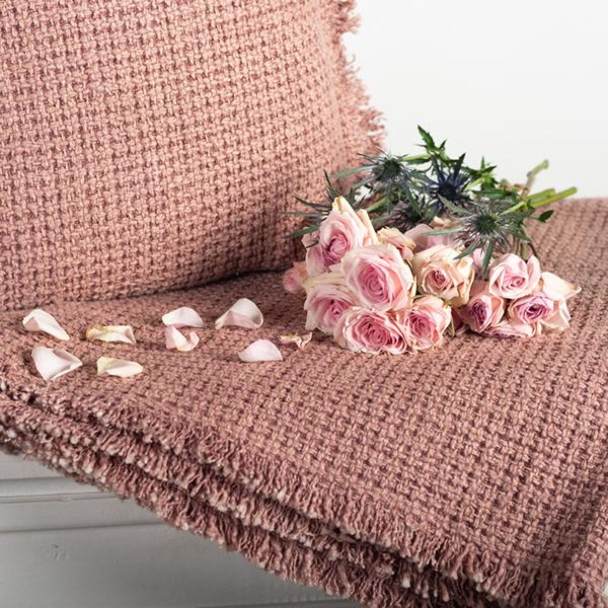 Cotton Throw With Fringe in Rose | CastleUp Experience Centre Online Furniture