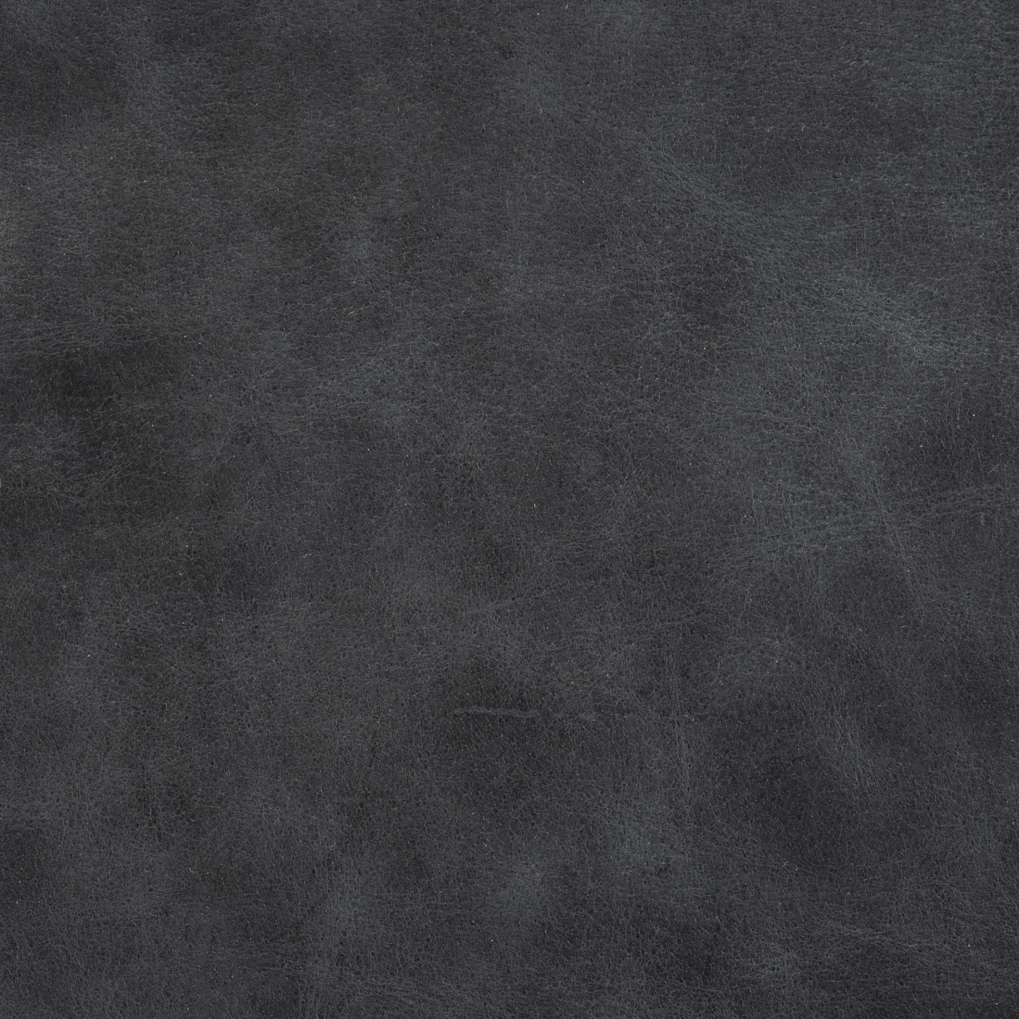 Mercana Direttore Dining Chair in Black | CastleUp Experience Centre Online Furniture