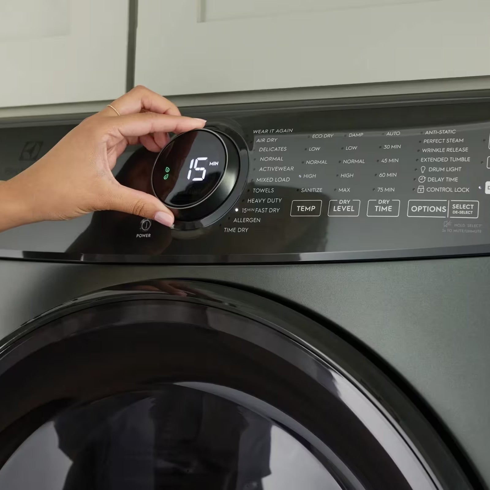 Electrolux ELFW7738AA 5.2 Cu. Ft. I.E.C. Front Load Washer Alpine