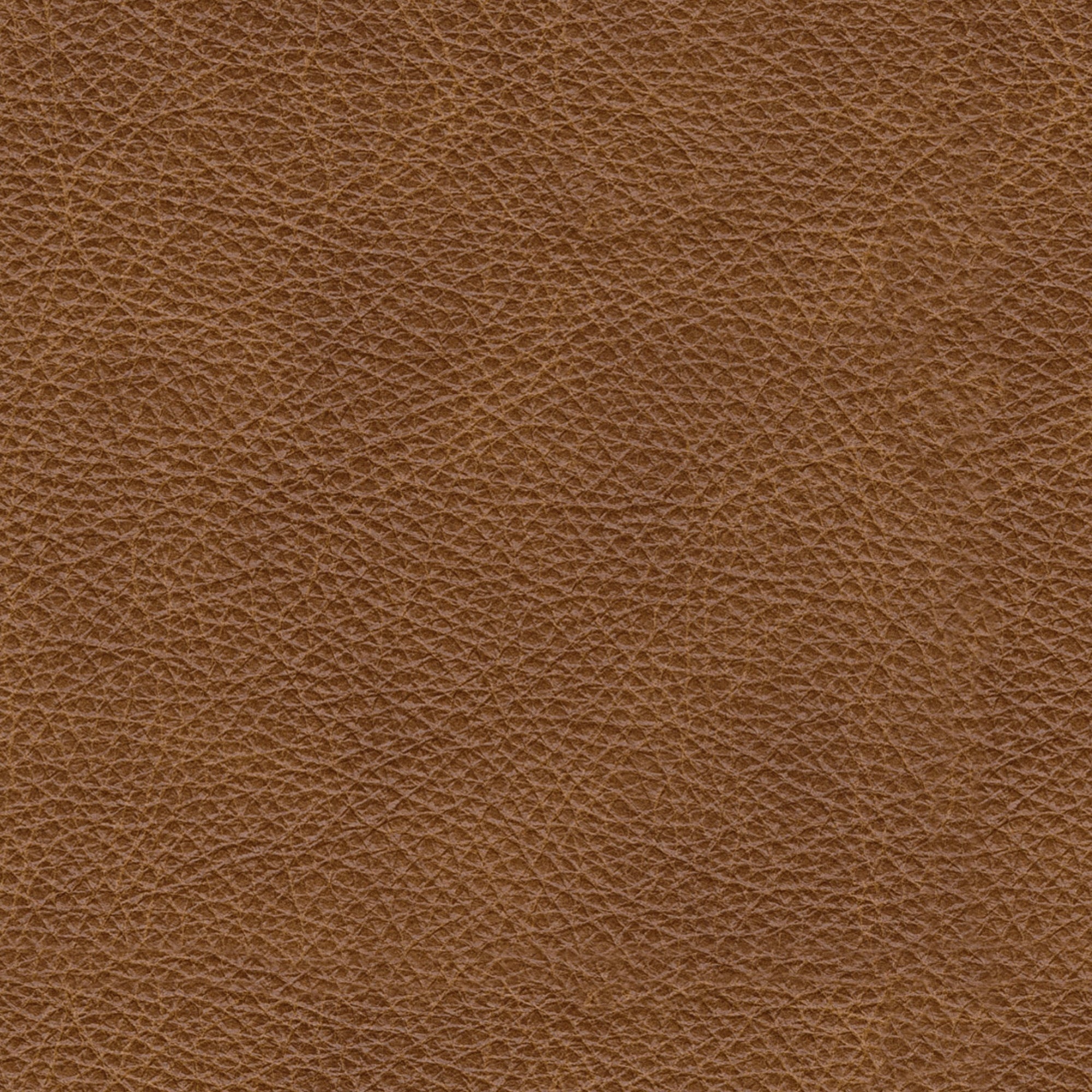 Emilia 2-Piece Leather Modular Sofa