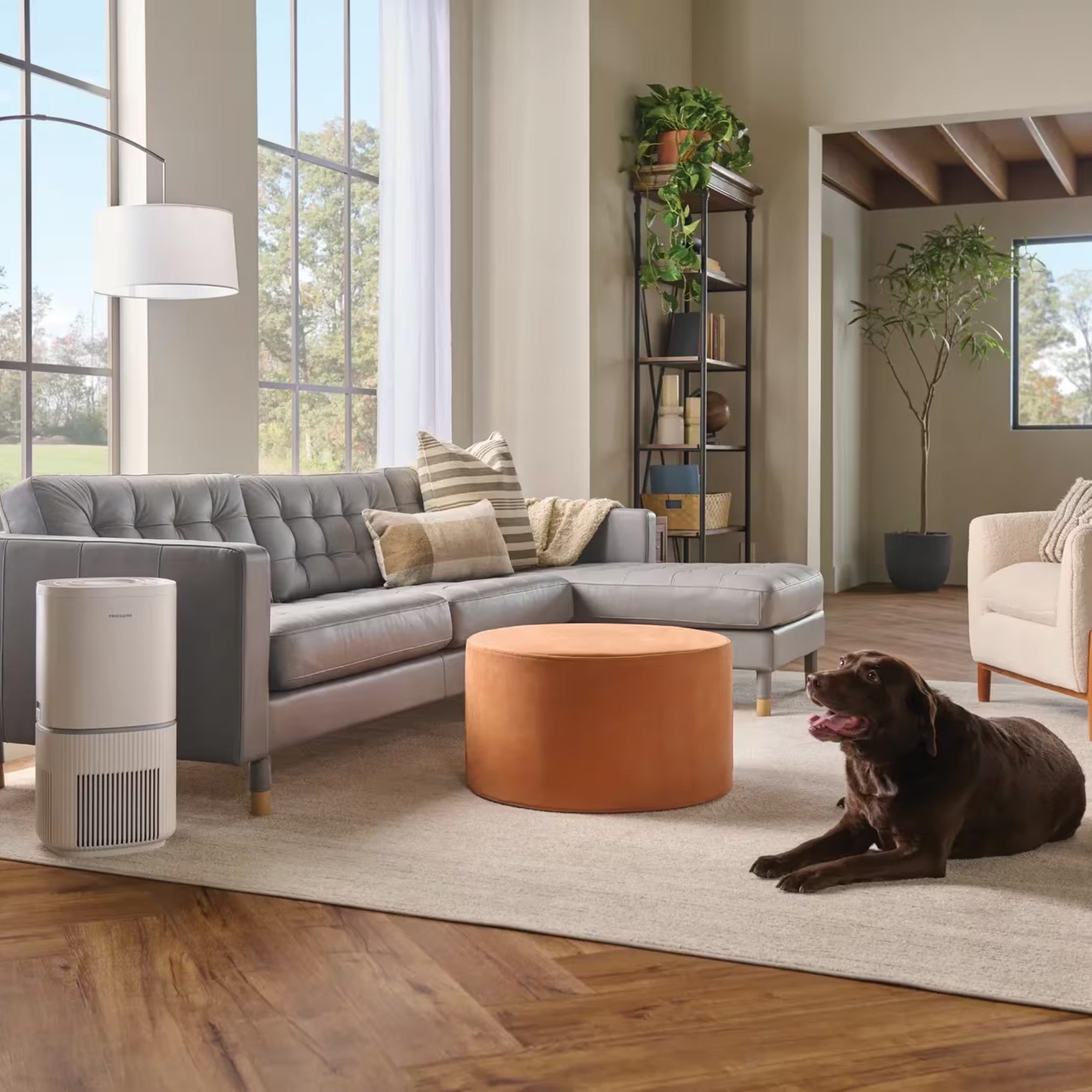 Frigidaire FHAP2040A1 PureA300™ HEPA Air Purifier XL with WiFi