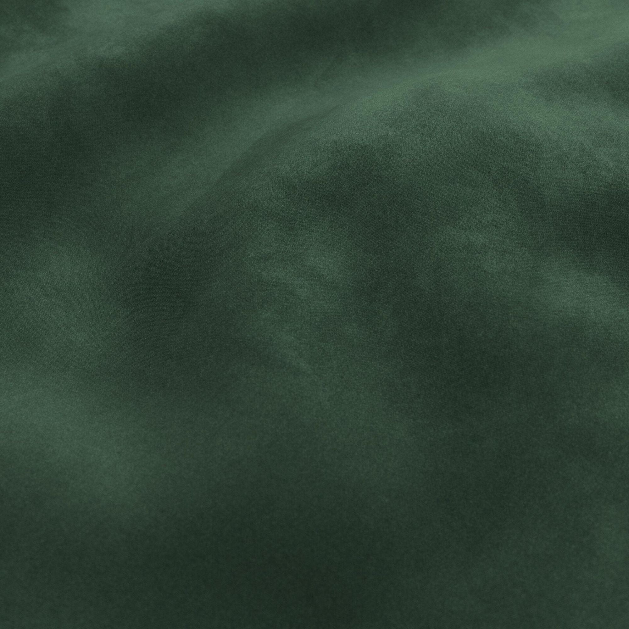 ComfortStyle Canadian made Coulter sofa in rich green velvet, showcasing plush upholstery and modern design.