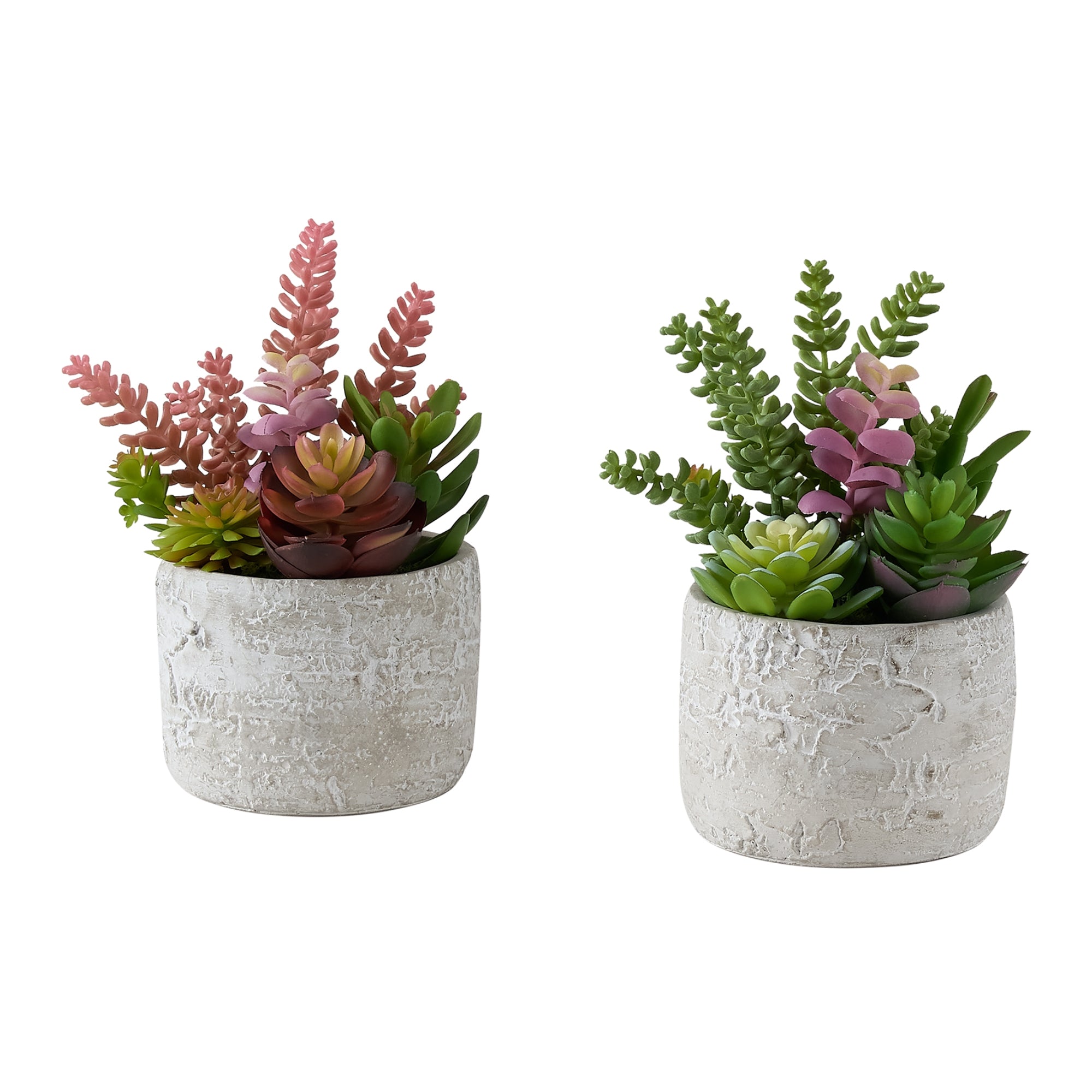 Two artificial succulent plants in a set, displayed in small decorative containers, from Monarch Specialties.