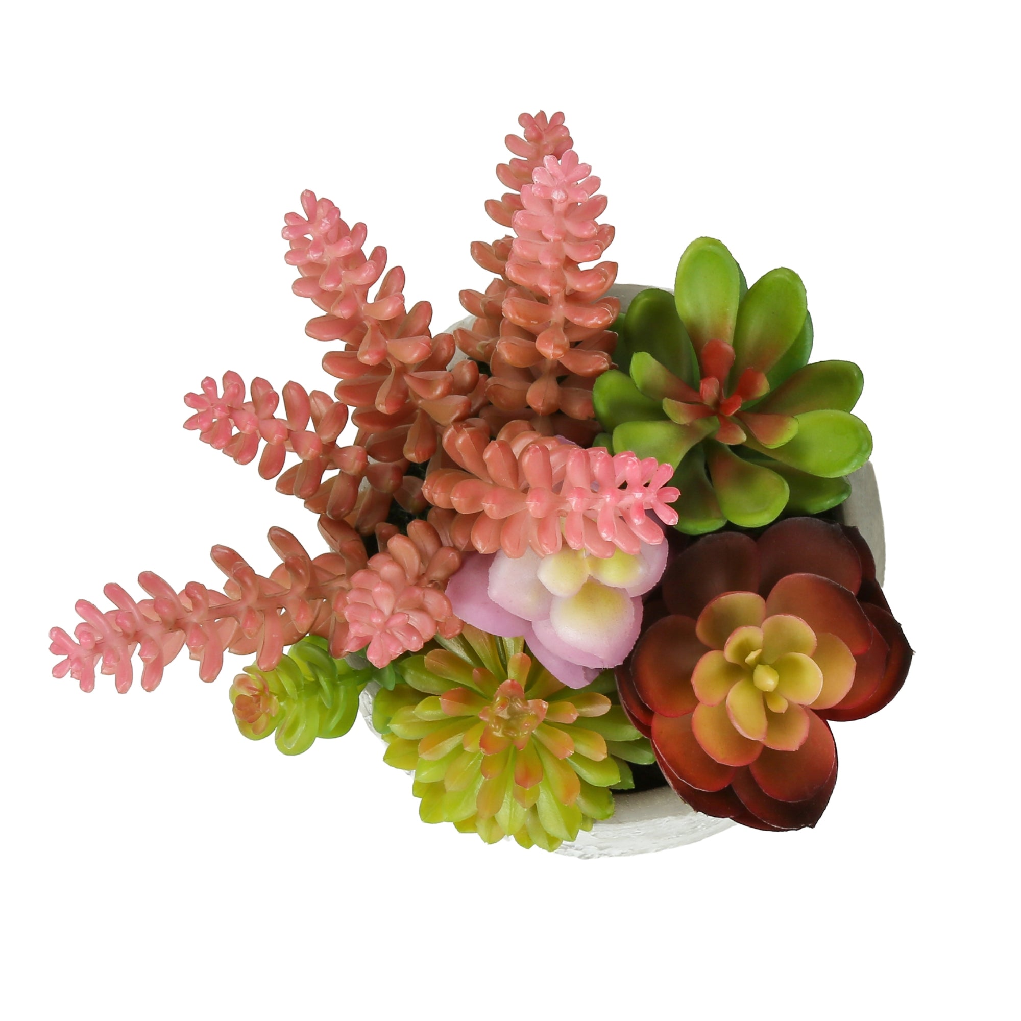 Artificial succulent plants in a 2-piece set, decorative faux plants by Monarch Specialties for home or office decor.
