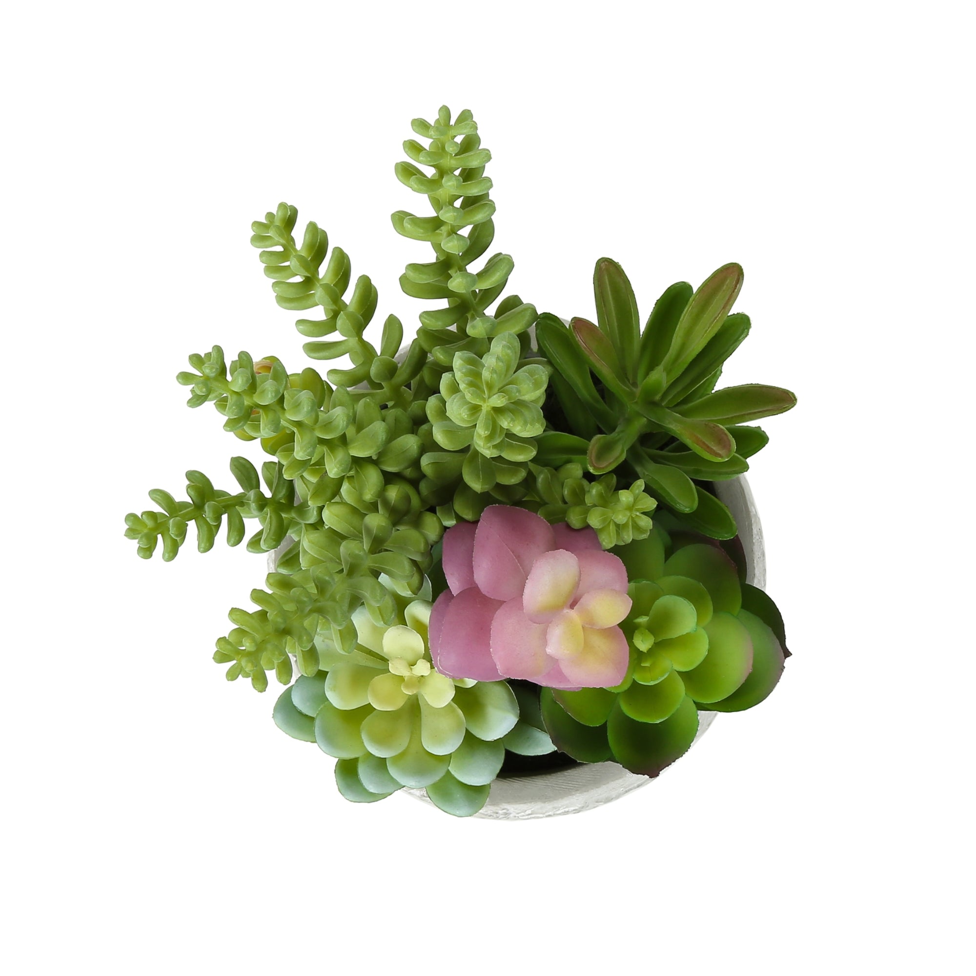 Artificial succulent plant set with two realistic green succulents in decorative pots, by Monarch Specialties.