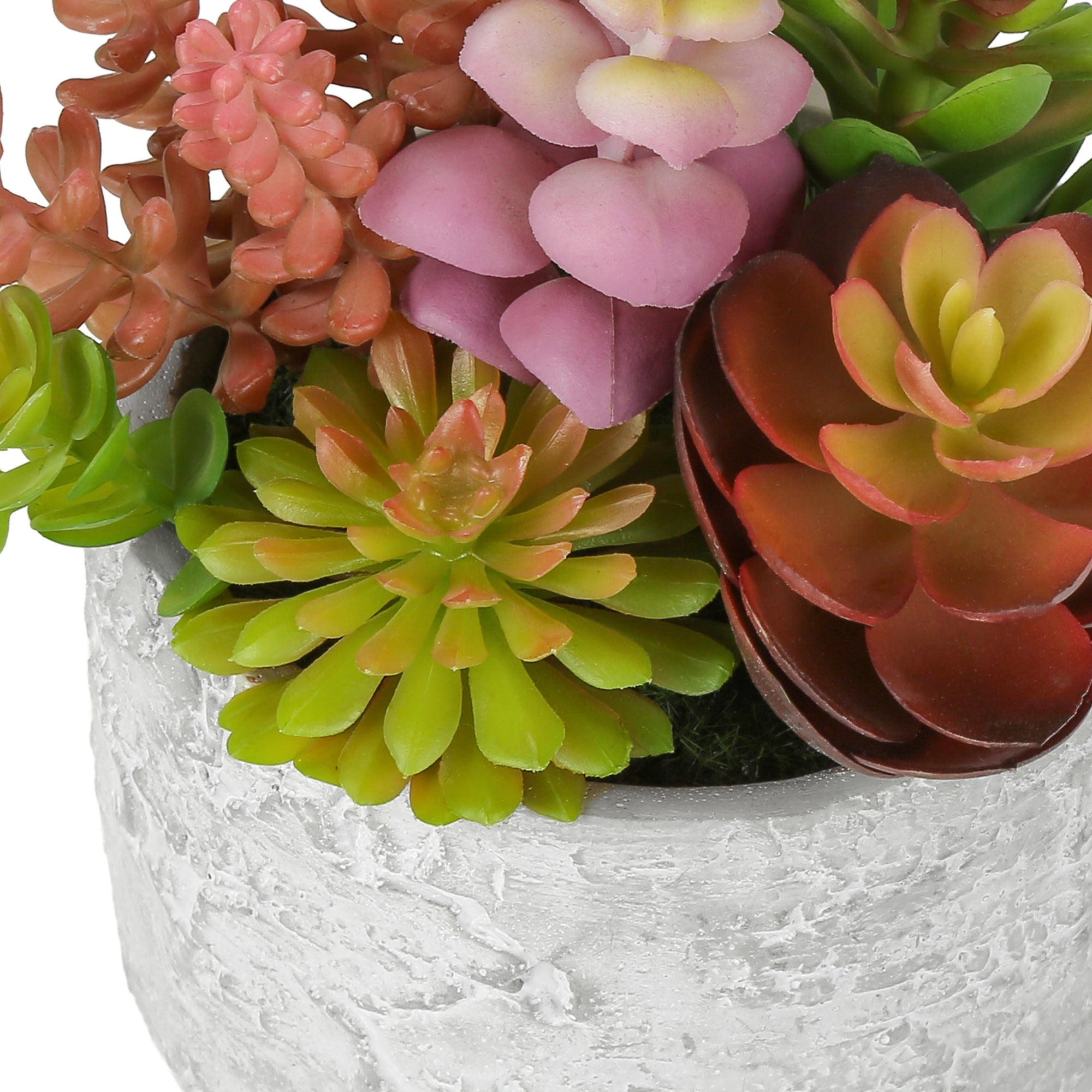 Artificial succulent plants set with two green, realistic-looking succulents in decorative pots by Monarch Specialties.