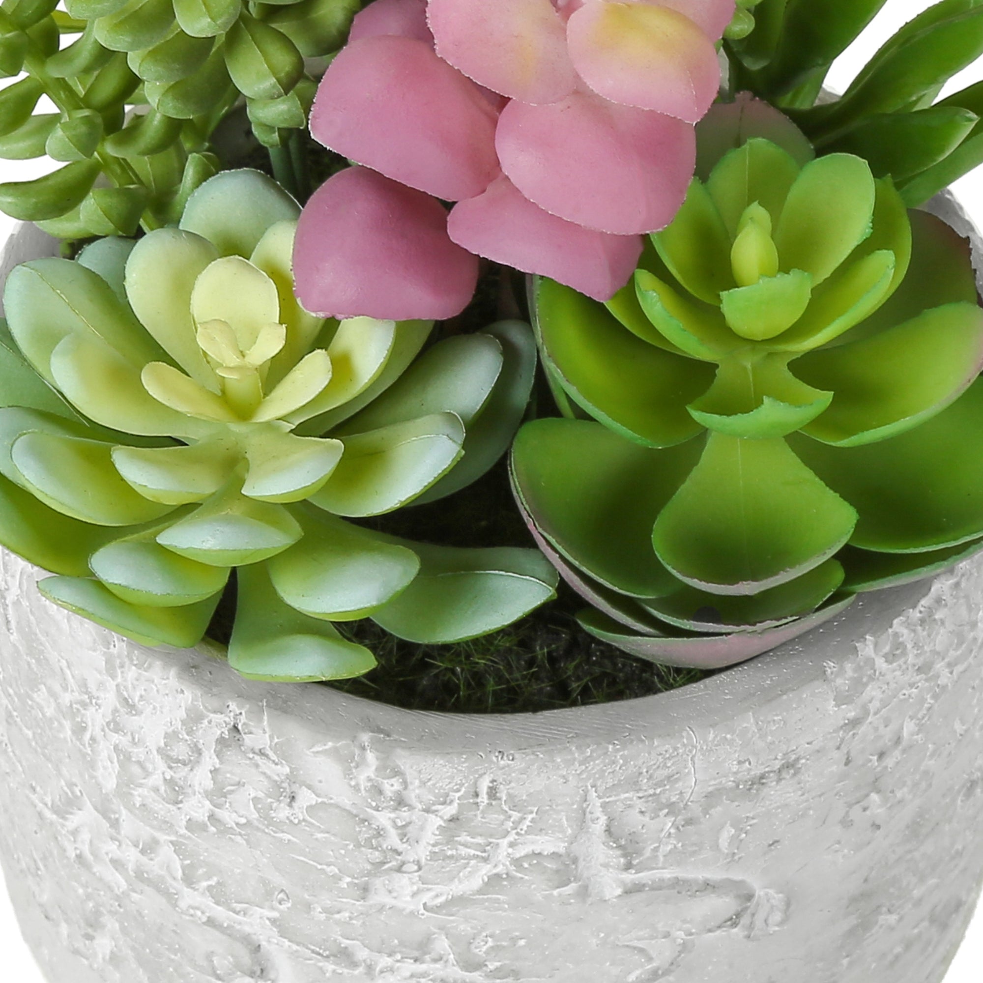 Two artificial succulent plants in a set by Monarch Specialties, with realistic green leaves and textured pots on a white background.