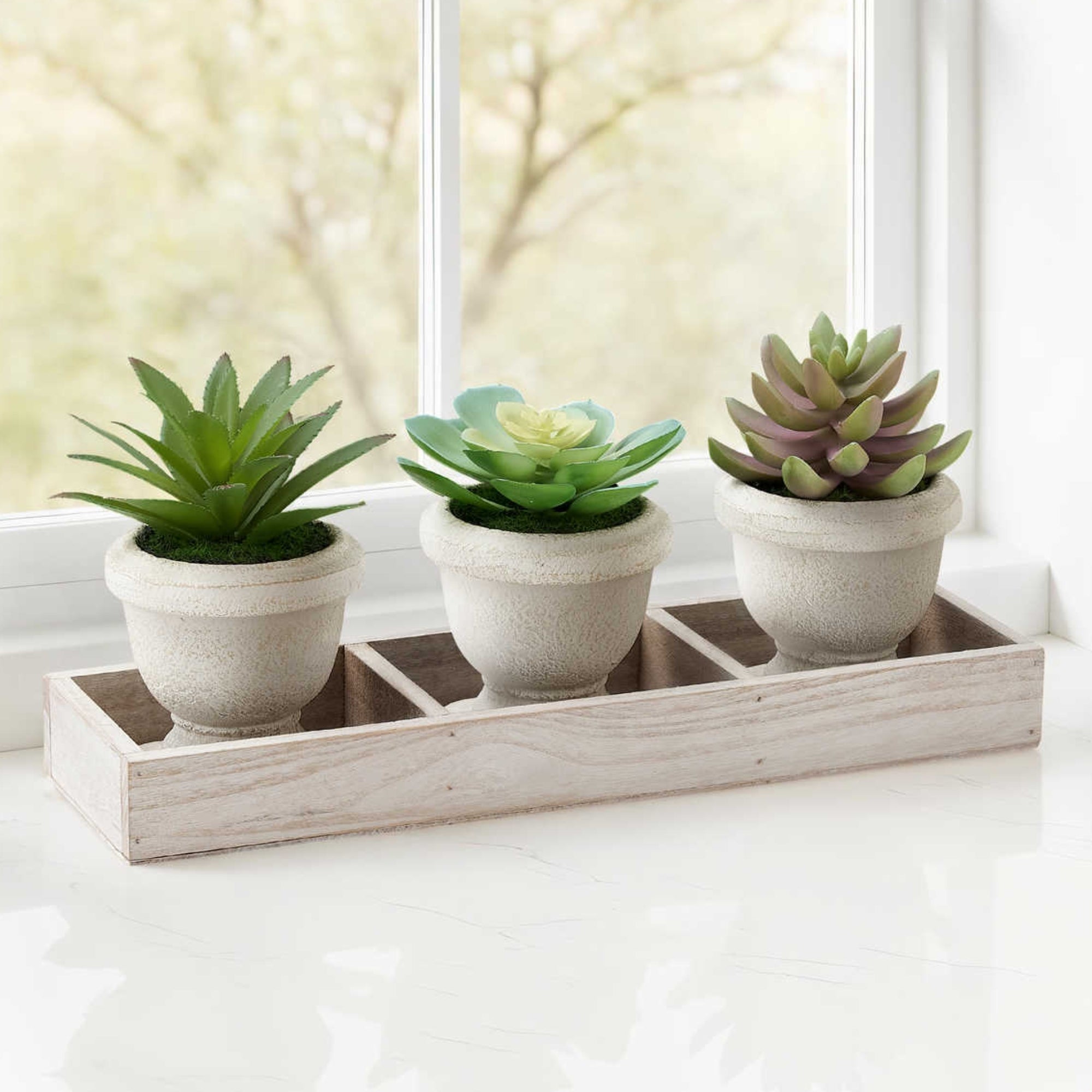 Artificial succulent plant set with three small greenery plants in modern pots, by Monarch Specialties.