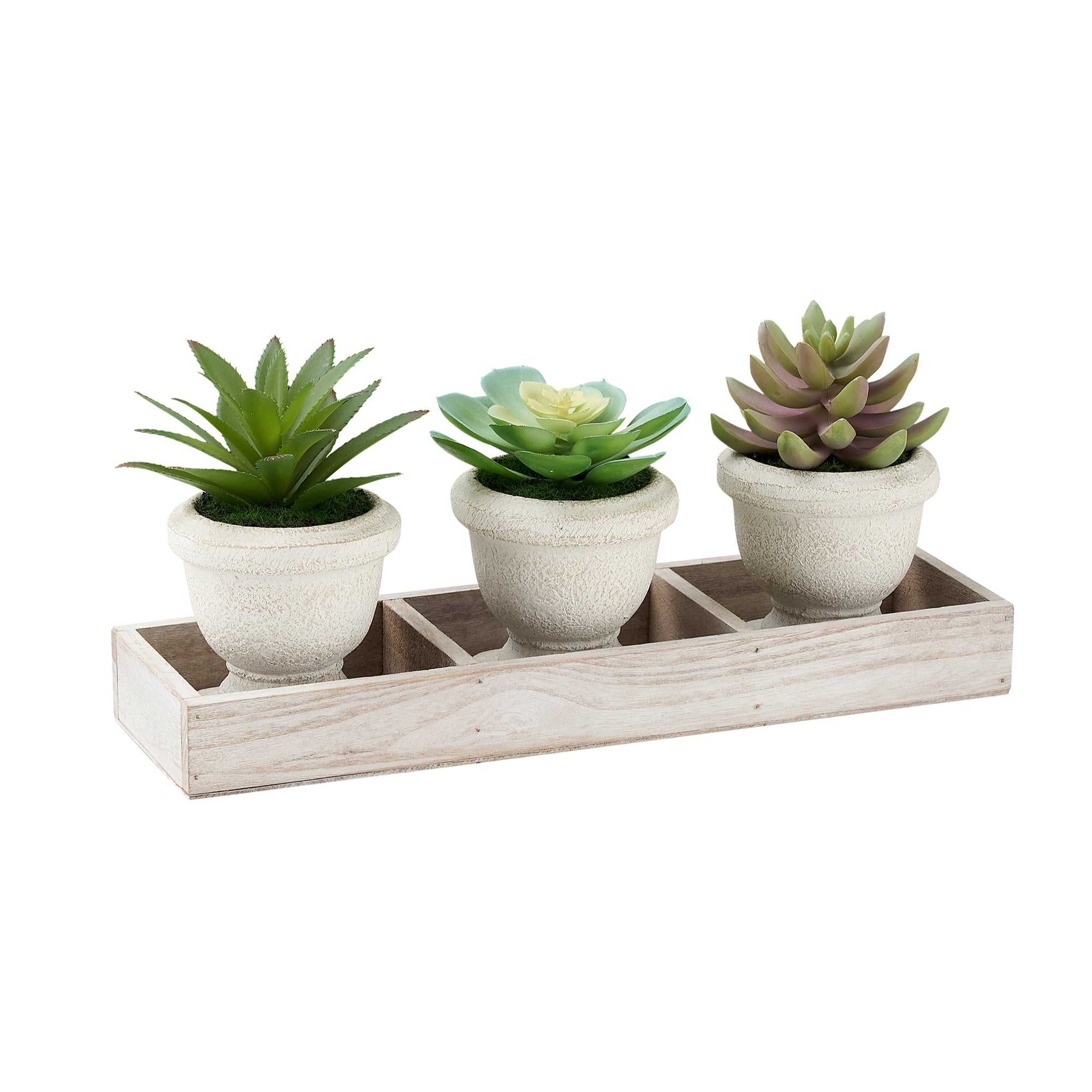 Artificial succulent plant set with three lush, green plants in decorative pots, perfect for home or office decor.