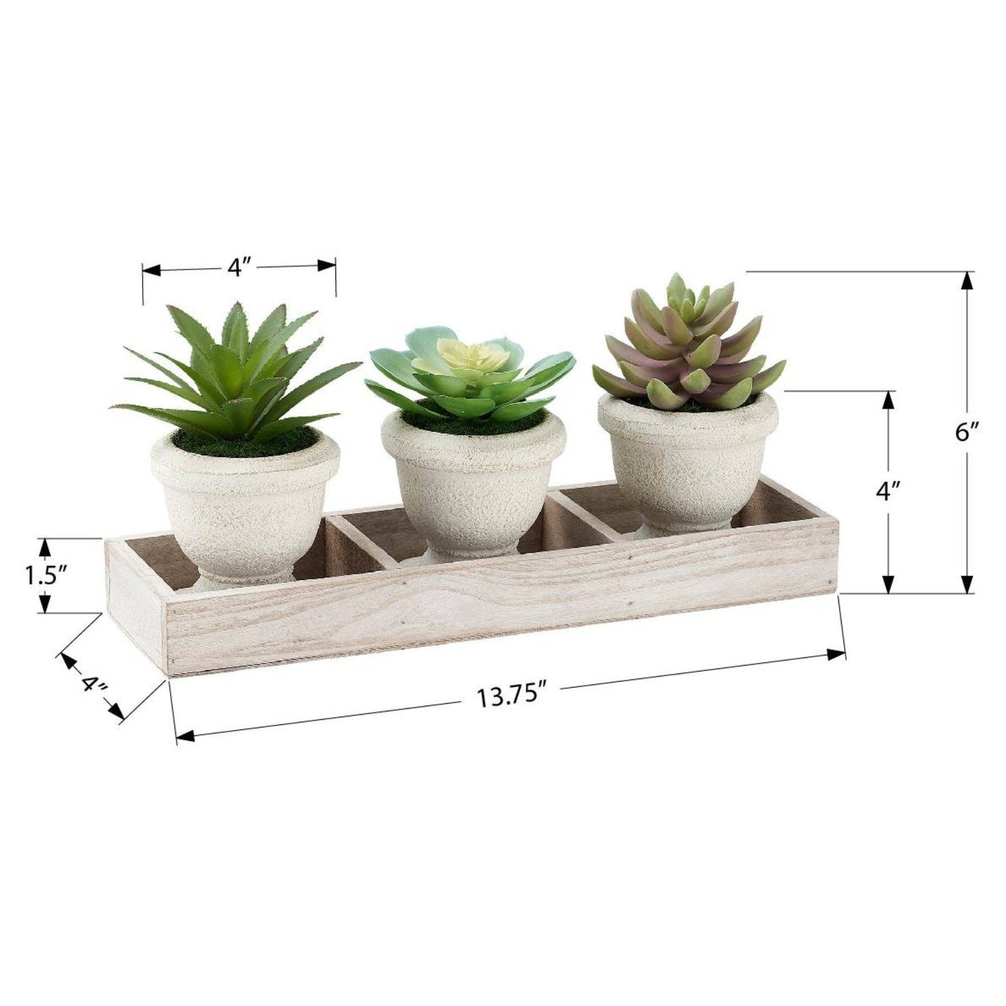 Three artificial succulent plants in a set, featuring realistic green foliage, from Monarch Specialties for decorative home or office use.