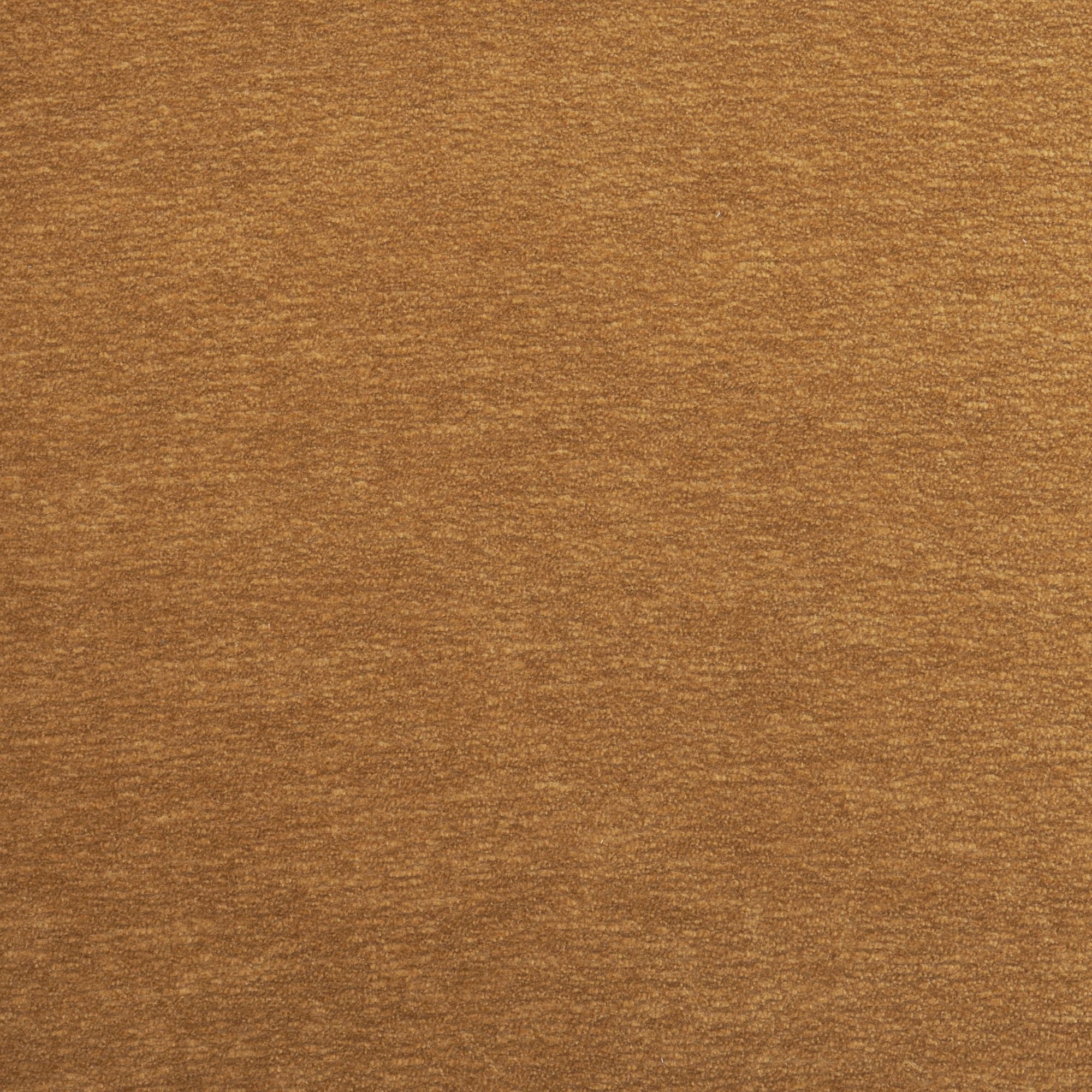 Cream chenille Nolan dining chair by Mercana Furniture, showcasing plush upholstery and modern design.