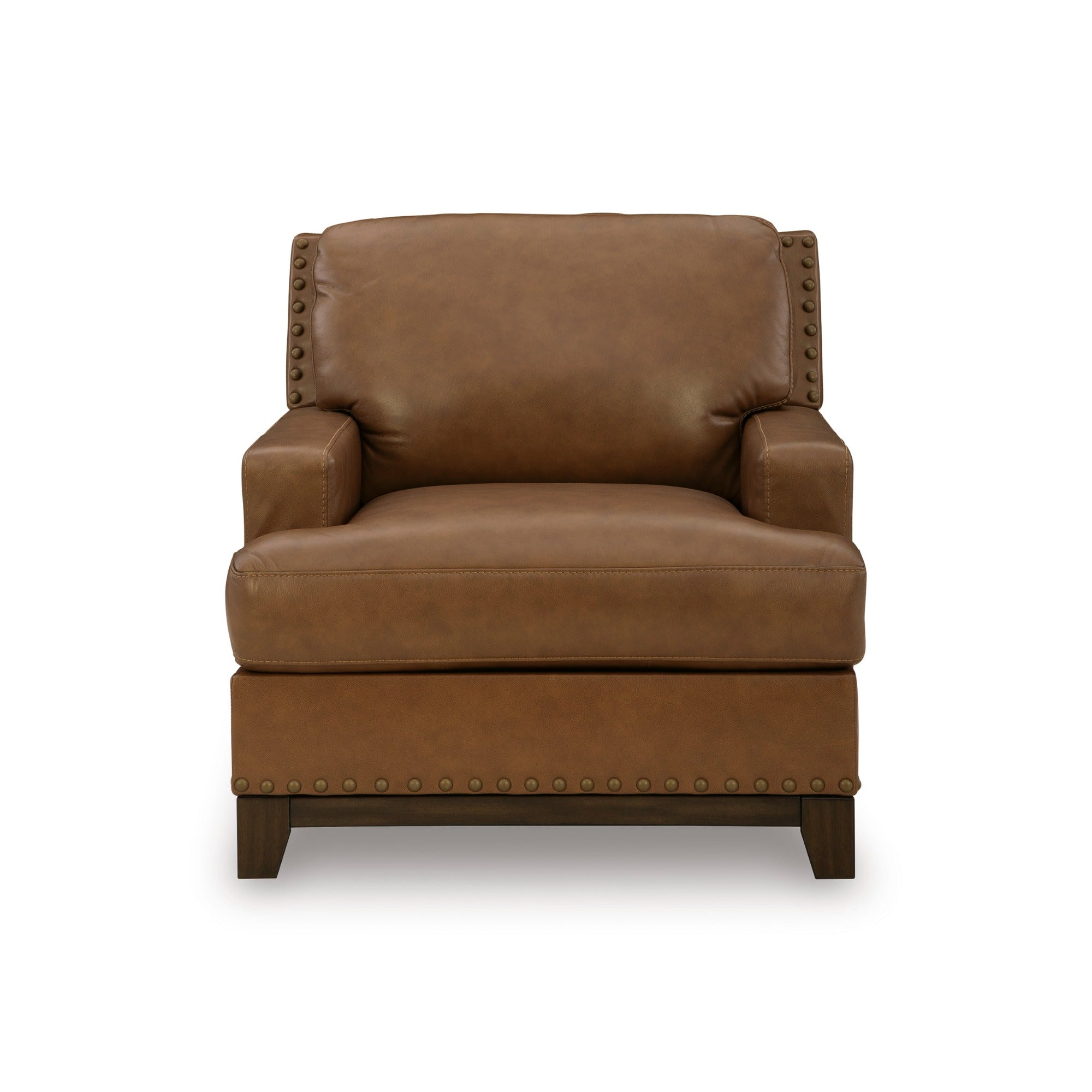 Saonara Leather Chair in Amber