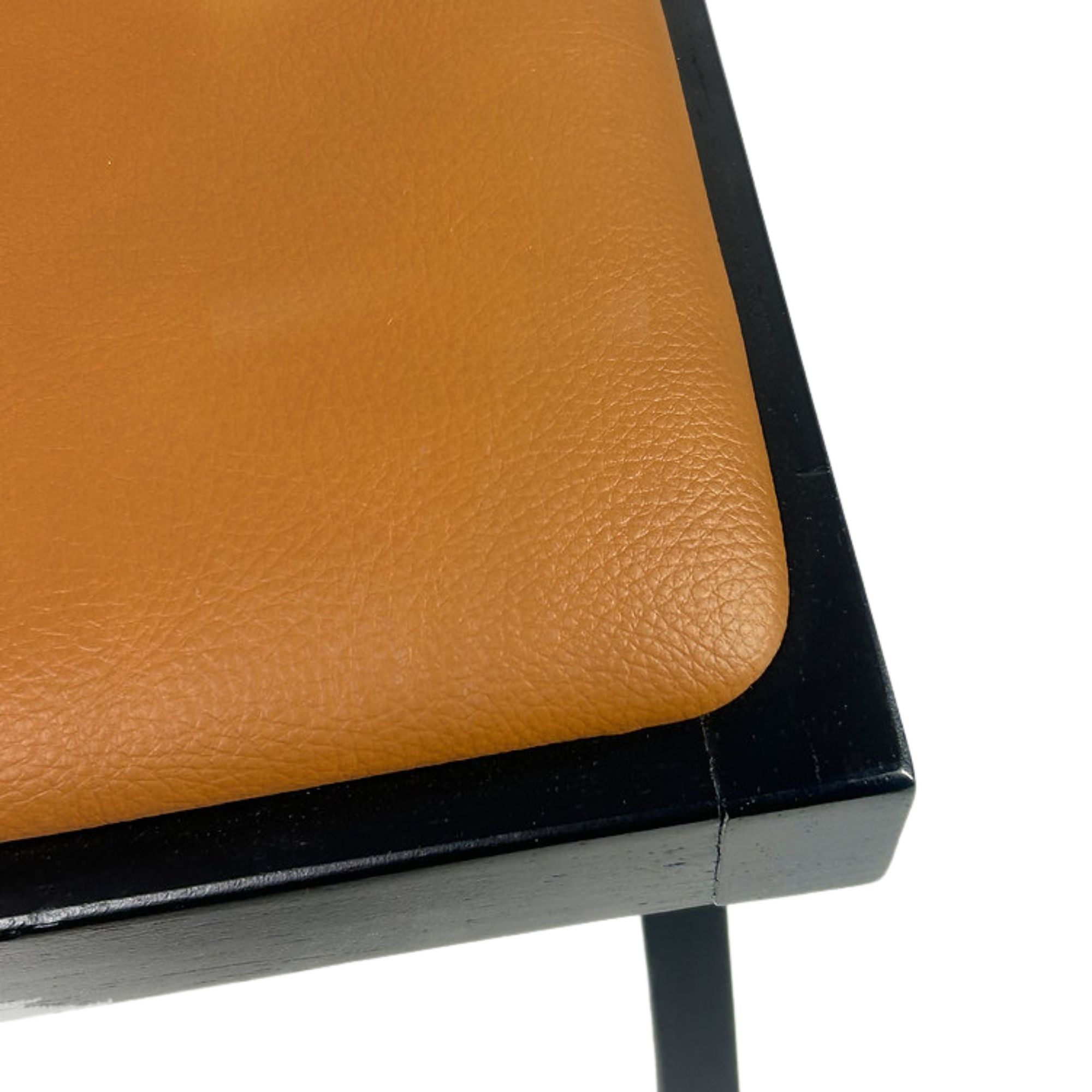 Set of two Elite Living Terra dining chairs with upholstered seats in cognac, showcasing modern design and comfortable seating.
